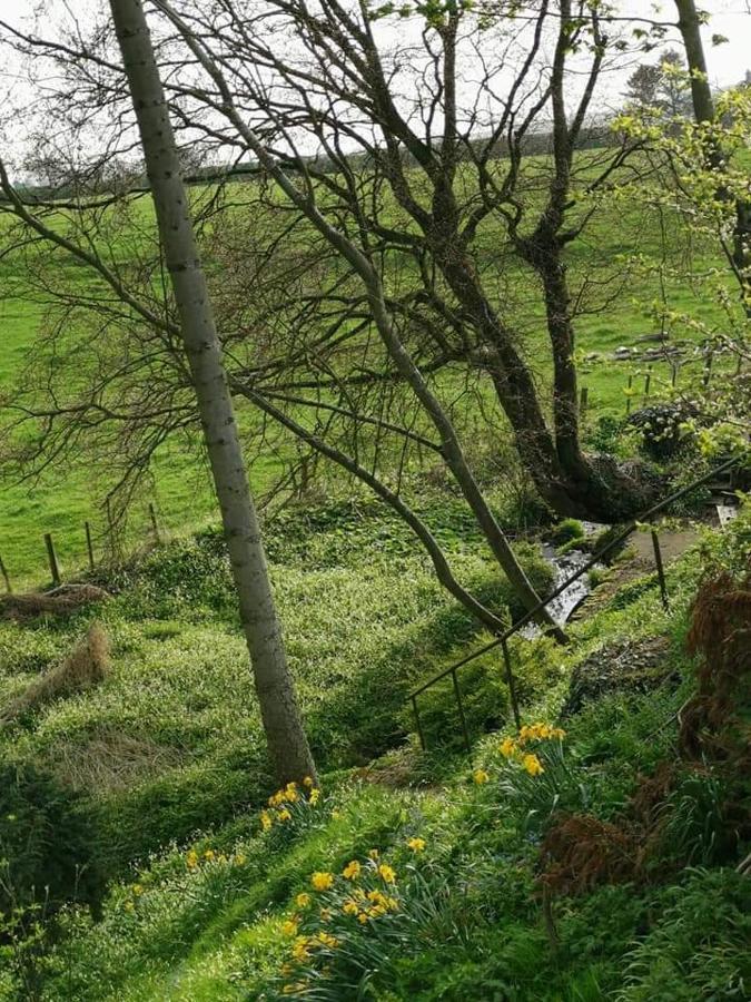 Relax In A 1 Bedroom Apartment Near A Country Pub Eyemouth Eksteriør bilde
