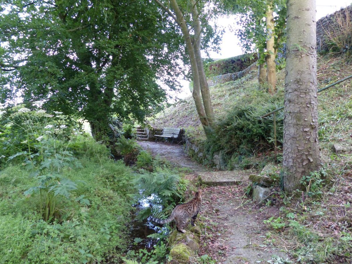 Relax In A 1 Bedroom Apartment Near A Country Pub Eyemouth Eksteriør bilde